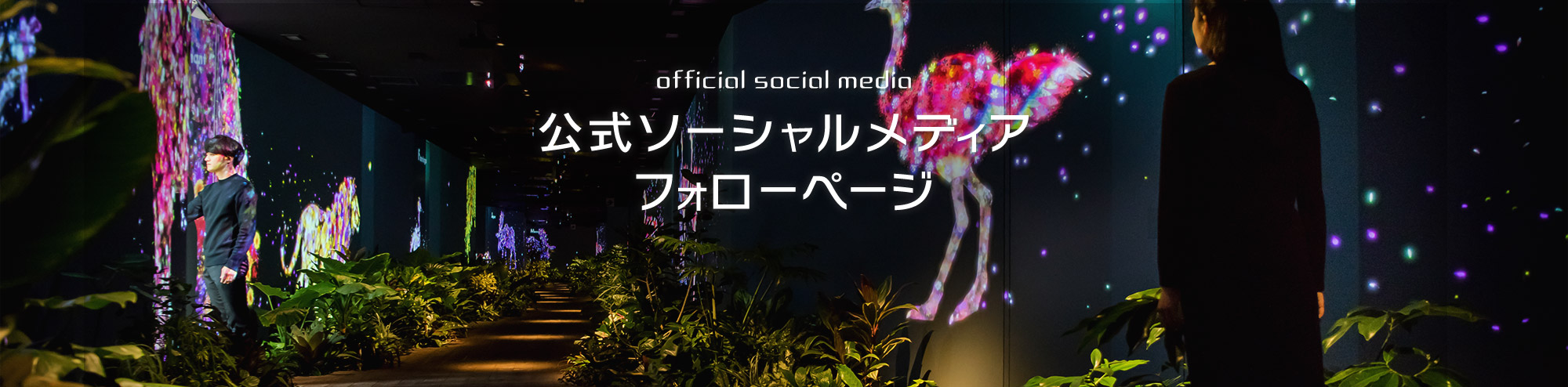 official social media 公式ソーシャルメディアフォローページ